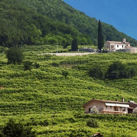 Casa Bortolin Bed & Breakfast Valdobbiadene Eksteriør bilde