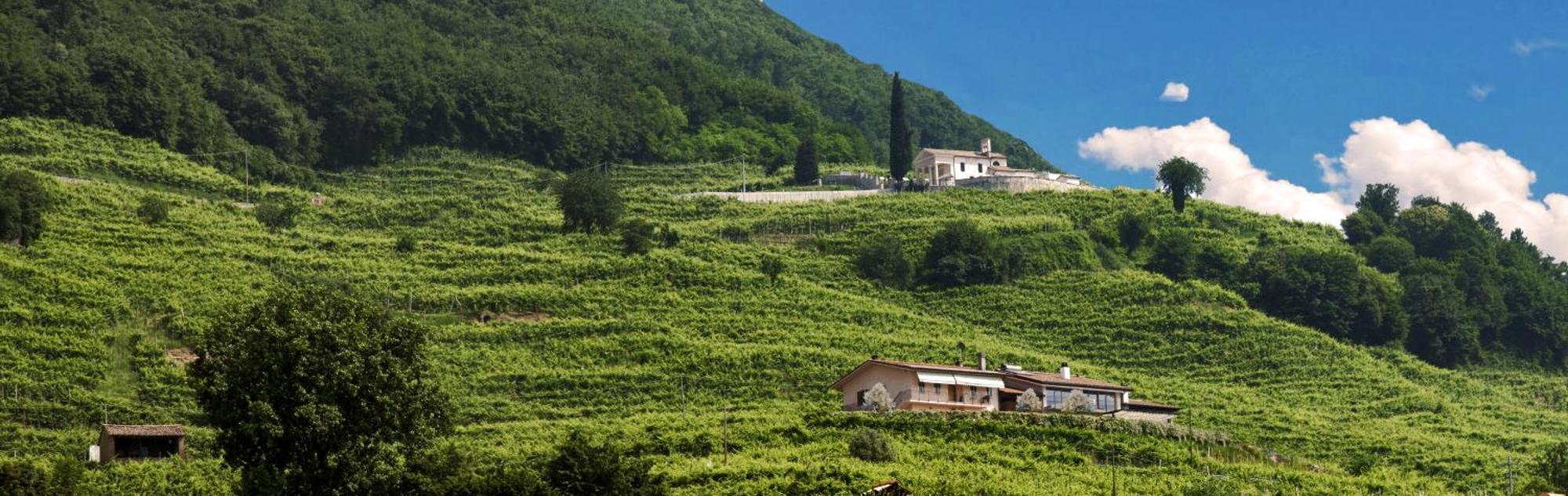Casa Bortolin Bed & Breakfast Valdobbiadene Eksteriør bilde